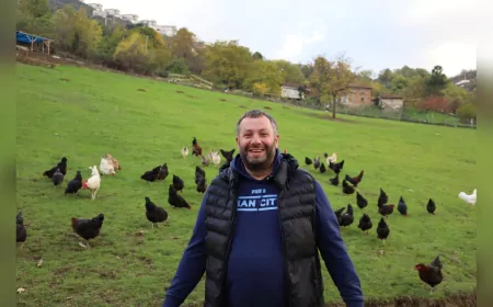 Kocaeli’de Hibeli Tavuk Desteği Üreticiye Nefes Aldırdı