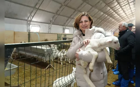 Eskişehir Büyükşehir Belediyesi’nden Üreticilere Çifte Destek