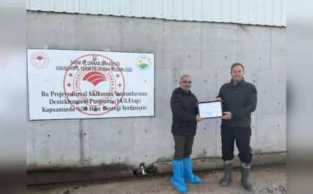 Mahmudiye’nin İlk Ari Hayvancılık İşletmesi Sertifikalandırıldı