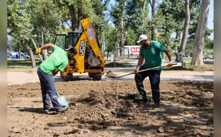 Yalova Belediyesi’nden Temiz ve Yeşil Kent İçin Yoğun Çalışma