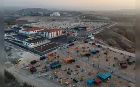 Eskişehir Büyükşehir Belediyesi’nden Sahipsiz Hayvanlara Destek: Mama Bağışları Resmen Kabul Edilecek