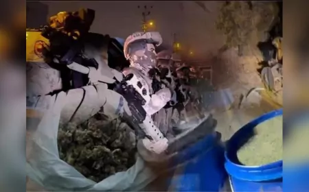 29 İlde Uyuşturucu Operasyonu: 345 Şüpheli Yakalandı, 1 Tonun Üzerinde Uyuşturucu Ele Geçirildi