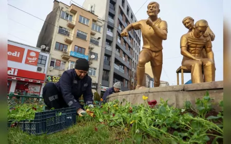 Eskişehir Büyükşehir Belediyesi’nden Kışa Renkli Dokunuş: 410 Bin Menekşe ile Şehir Güzelleşecek