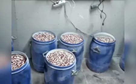 İstanbul ve İzmir’de Uyuşturucu Operasyonları: 6 Milyon 958 Bin Hap Ele Geçirildi