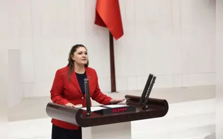İYİ PARTİ TEKİRDAĞ MİLLETVEKİLİ SELCAN TAŞCI: “SİLAH ARKADAŞLARINIZIN KATİLLERİ KAHRAMANLAŞTIRILIRKEN NASIL HUZURLA UYUYORSUNUZ”