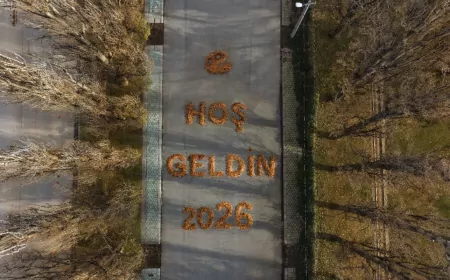 Yapraklarla Yazılan Sıcacık Mesaj: “Hoş Geldin 2026”