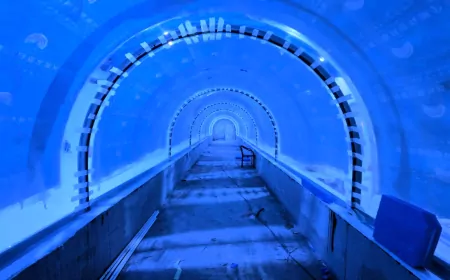 Kocaeli Akvaryumu Çok Yakında Açılıyor: Tatlı Su Tüneliyle Türkiye’de Bir İlk