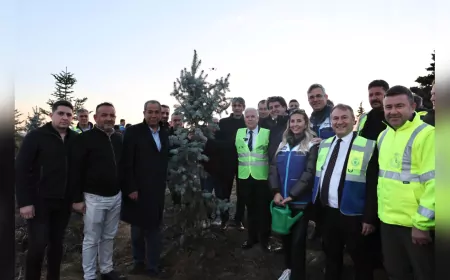 Bursa Büyükşehir’den Doğaya Nefes: 15 Bin Fidan Toprakla Buluştu