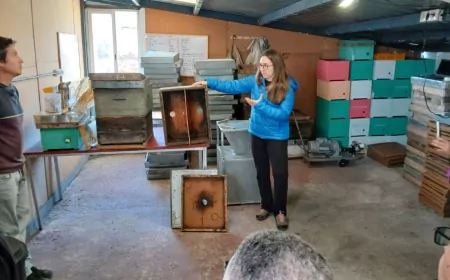 bestHONEY Erasmus+ Projesinin 4. Uluslararası Etkinliği Barselona’da Gerçekleştirildi