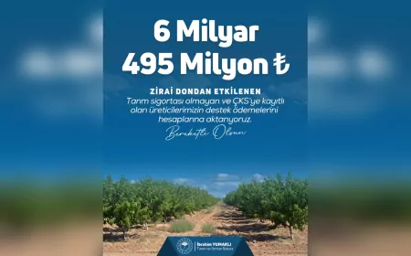 Zirai Dondan Etkilenen Üreticilere 6,4 Milyar TL Daha Destek Ödemesi