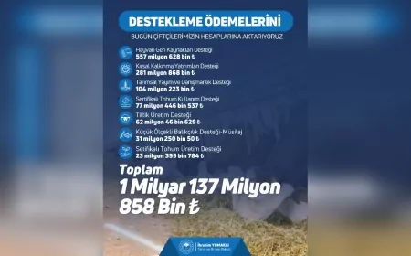 Çiftçilere 1 Milyar 137 Milyon TL Tarımsal Destek Ödemesi Yapılıyor