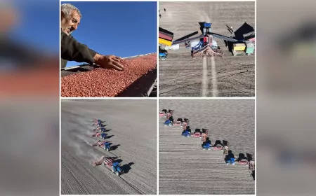 TİGEM, 77 Bin Dekarda Kuraklığa Dayanıklı Yerli Tohum Üretiyor