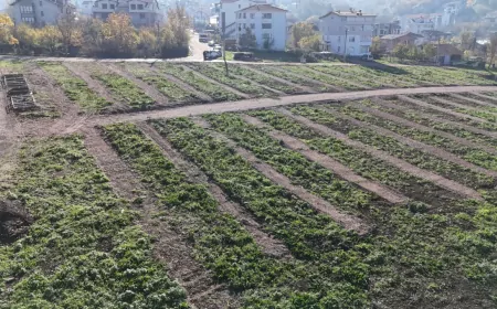 Kocaeli Büyükşehir'den Gölcük’e Yeni Mezarlık Alanları