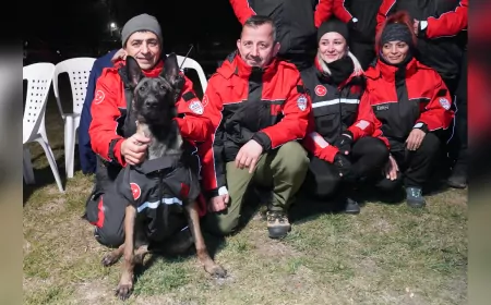 Tepebaşı Arama Kurtarma Ekibi Tatbikatla Hazırlıklarını Güçlendiriyor