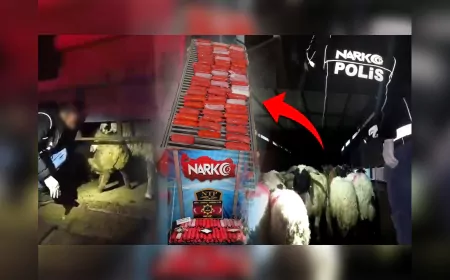 Siirt'te Küçükbaş Hayvanların Karın Boşluğuna Uyuşturucu Gizleyen 2 Şüpheli Gözaltına Alındı