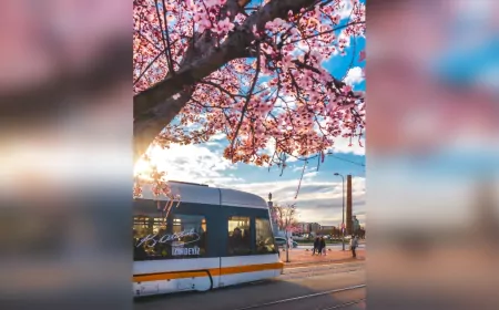 ESTRAM 21 Yılda 745 Milyon Yolcu Taşıdı