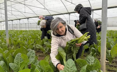 Saygınlar Kulübü Üyeleri Pazı ve Karalahana Hasadıyla Doğaya Dokundu