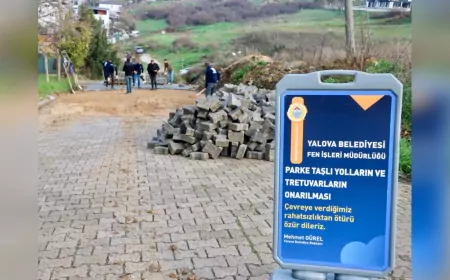 Yalova Belediyesi’nden Hem Sokaklara Hem Parklara Bakım