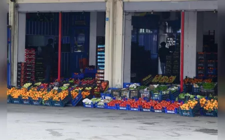 Giresun Yaş Sebze ve Meyve Hali 2025’te 51 Bin Ton Ürün Girişiyle Yoğun Mesai Yaptı