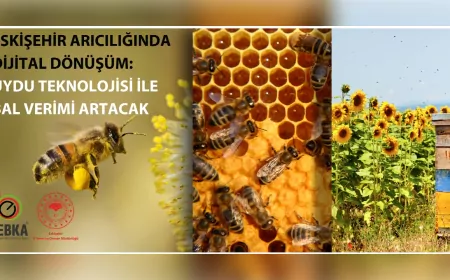 Eskişehir Arıcılığında Dijital Dönüşüm: Uydu Destekli Bal Üretimi Başlıyor