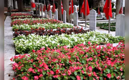 Kocaeli Büyükşehir'den Şehitliklerde Duyarlı Dokunuş