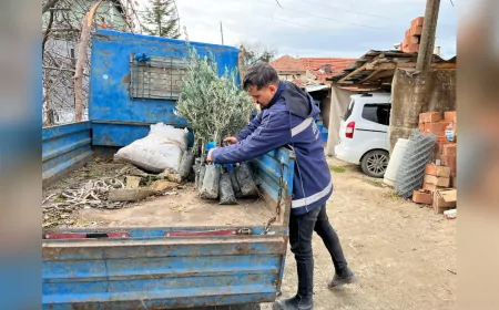 Eskişehir’de Zeytin Geleceğe Kök Salıyor