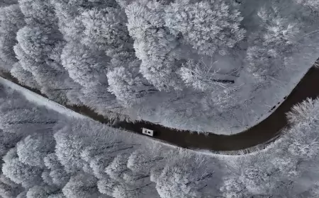 Kocaeli'yi 2025’te 13 Milyon Kişi İzledi: Gurbetçiler Hasretini Kameralarla Gideriyor