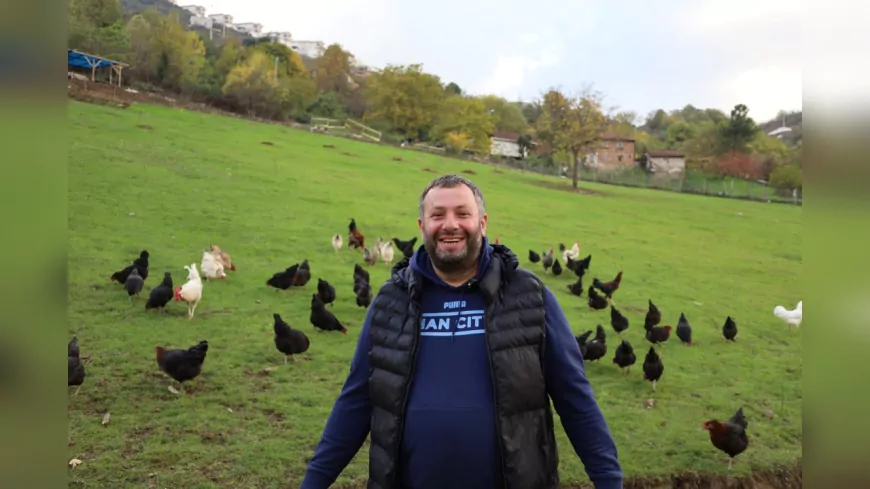 Kocaeli’de Hibeli Tavuk Desteği Üreticiye Nefes Aldırdı