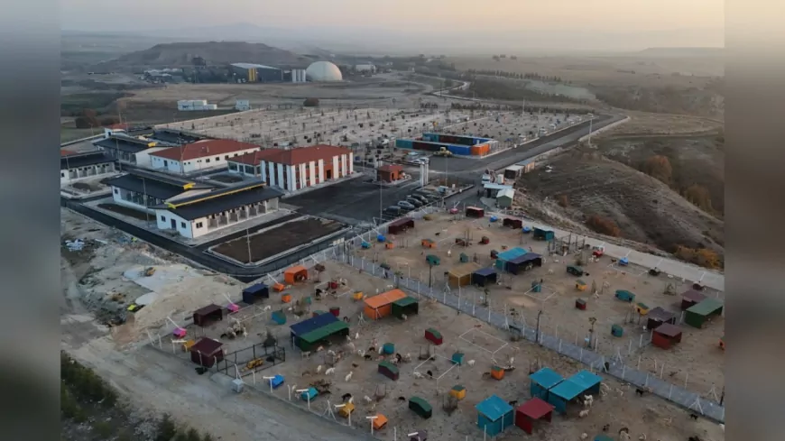 Eskişehir Büyükşehir Belediyesi’nden Sahipsiz Hayvanlara Destek: Mama Bağışları Resmen Kabul Edilecek