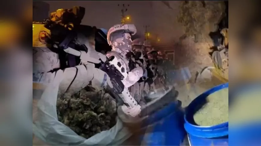 29 İlde Uyuşturucu Operasyonu: 345 Şüpheli Yakalandı, 1 Tonun Üzerinde Uyuşturucu Ele Geçirildi