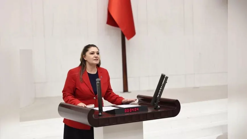 İYİ PARTİ TEKİRDAĞ MİLLETVEKİLİ SELCAN TAŞCI: “SİLAH ARKADAŞLARINIZIN KATİLLERİ KAHRAMANLAŞTIRILIRKEN NASIL HUZURLA UYUYORSUNUZ”