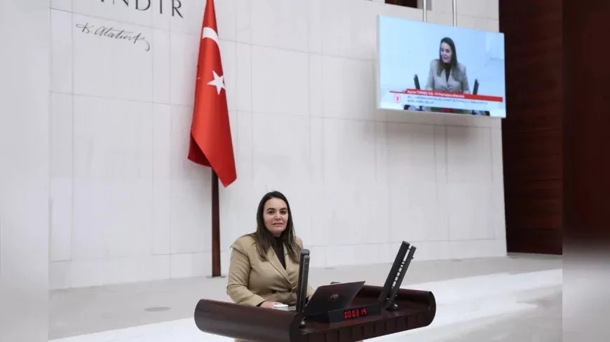 İYİ PARTİ ADANA MİLLETVEKİLİ AYYÜCE TÜRKEŞ TAŞ: “SİYASETE VE TARİKATA BULAŞMIŞ ORDUYA VADEDİLEN TEK ZAFER FELAKETTİR”