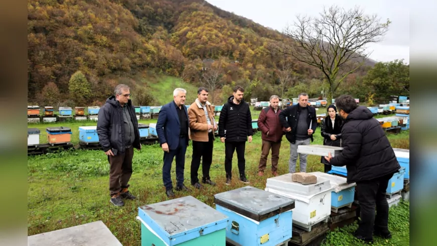 Batı Trakya’dan Kocaeli’ye Arıcılık Ziyareti: Deneyim Paylaşımı ve Saha İncelemesi