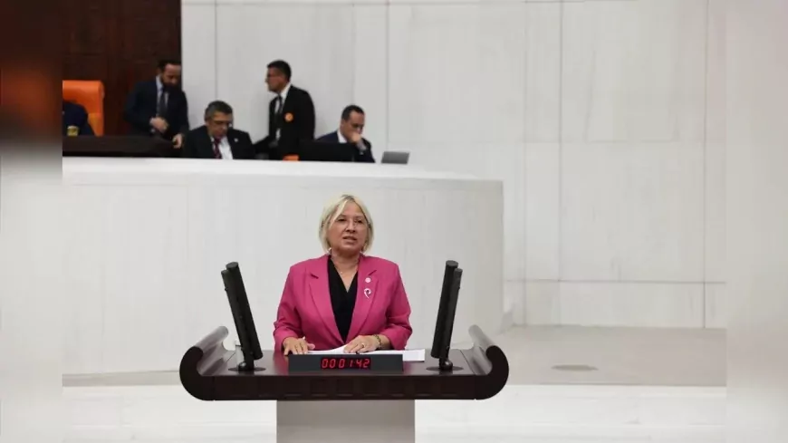 CHP Tekirdağ Milletvekili Nurten Yontar: “Sigortacılık sistemi halkı güvenceye değil riske sürüklüyor”