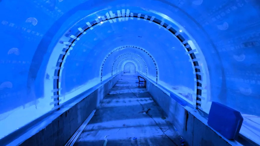 Kocaeli Akvaryumu Çok Yakında Açılıyor: Tatlı Su Tüneliyle Türkiye’de Bir İlk