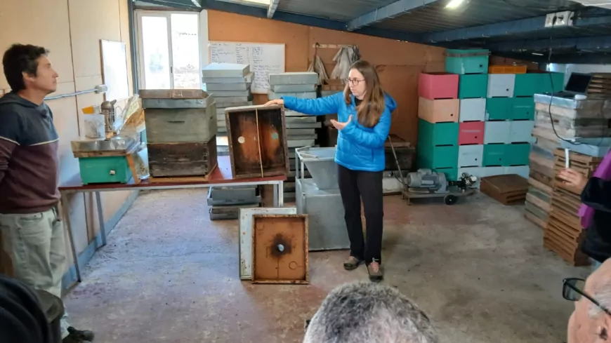 bestHONEY Erasmus+ Projesinin 4. Uluslararası Etkinliği Barselona’da Gerçekleştirildi