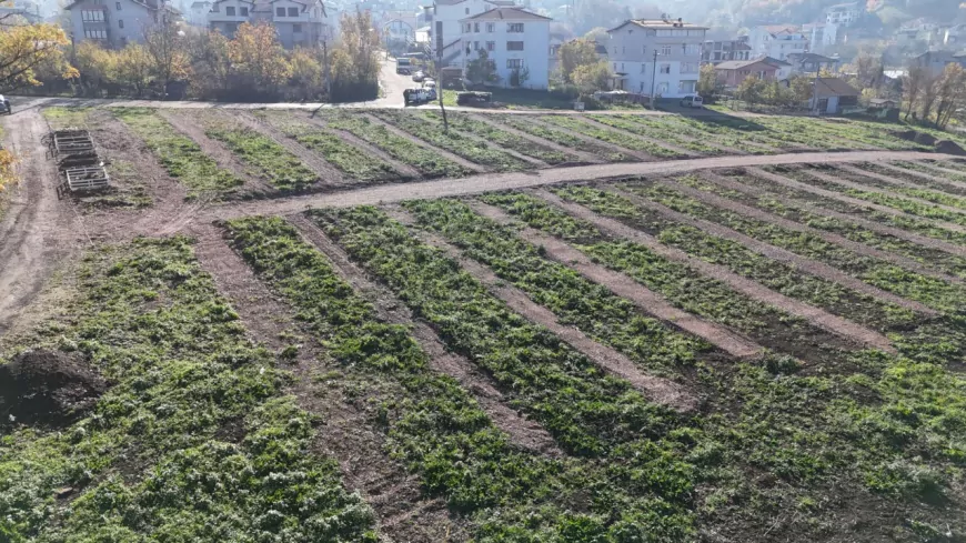 Kocaeli Büyükşehir'den Gölcük’e Yeni Mezarlık Alanları