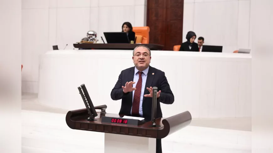 CHP’li Evrim Karakoz: “Asım’ın Nesli Gelecek Diyerek Gençlerin Geleceğini Çaldılar”