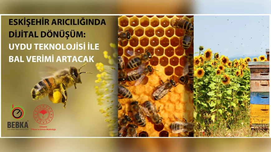 Eskişehir Arıcılığında Dijital Dönüşüm: Uydu Destekli Bal Üretimi Başlıyor