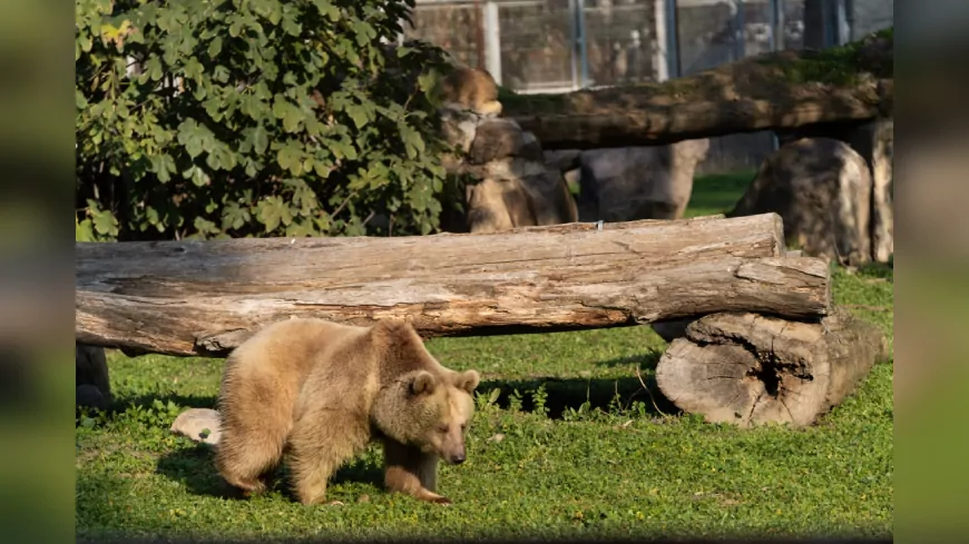 İzmir Doğal Yaşam Parkı’na Yeni Misafirler