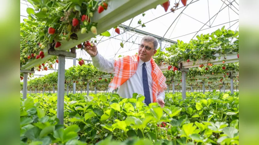 İzmir Büyükşehir Belediyesi’nden Üreticiye 550 Milyon TL’lik Destek