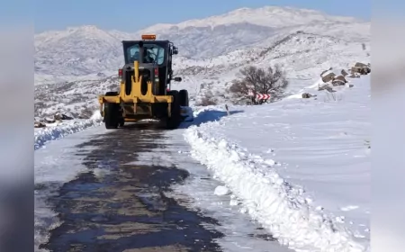 Siverek ve Haliliye Kırsalında Karla Mücadele Aralıksız Sürüyor