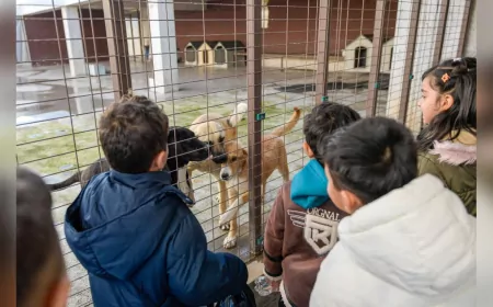 İzmir’de “Tek Sağlık” Yaklaşımıyla Hayvan Refahında Büyük İyileşme