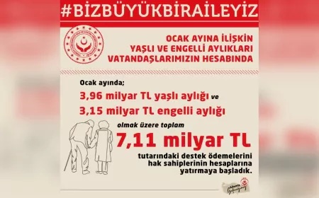 Yaşlı ve Engelli Aylıkları Hesaplara Yattı