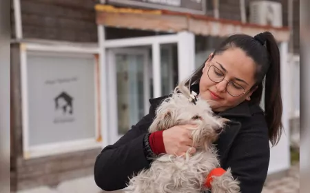 Tepebaşı Belediyesi’nden Sokak Hayvanlarına Umut: 2025’te 626 Can Sahiplendirildi