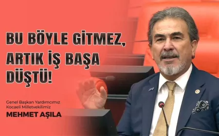 Mehmet Aşıla: “Bu Böyle Gitmez, Artık İş Başa Düştü!”