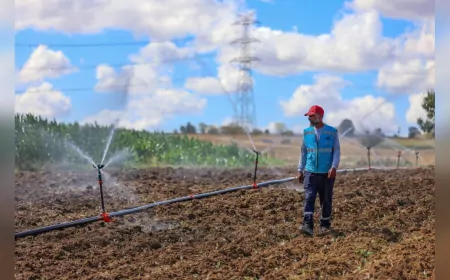 2025te Toprağa Bereket Yağdı Kocaeli Büyükşehirden 166 Milyon TLlik Tarımsal Destek