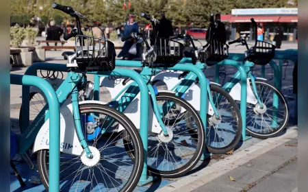 Sakarya’da TUBİS, SAKBİS ve TRİPY’ye 2025’te Yoğun İlgi