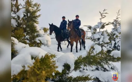 Van’da Kaçak Avcılığa Karşı Atlı Jandarma Timi Görevde