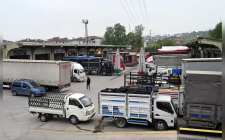 Yalova Yaş Sebze ve Meyve Hali’nde Rekor Tüketim